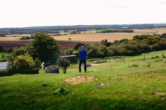 For People and For Place: Form and Feeling with Alex Richards